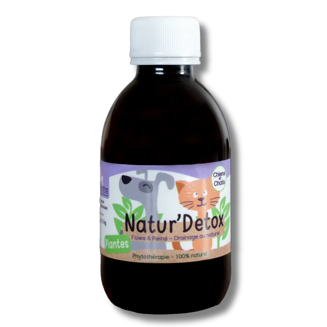 Sirop Drainage Naturel Foie et Reins 200mL - Natur' Detox-0